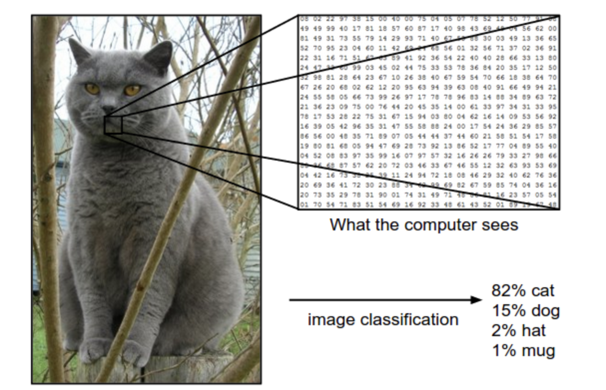 image-20211105224141141